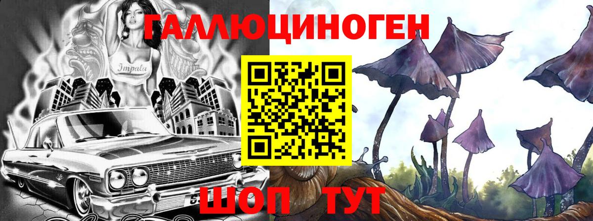 Галлюциногенные грибы Psilocybine cubensis  Галлюциногенные грибы мухоморы  Калуга  Вход с VPN 