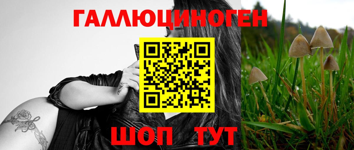 Псилоцибиновые грибы мухоморы Калуга